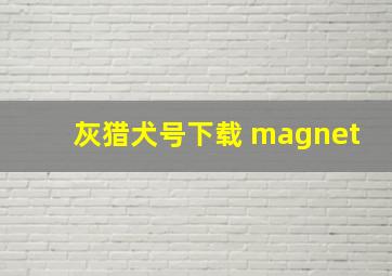 灰猎犬号下载 magnet